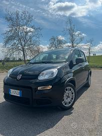 Panda hybrid City Life