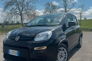 Panda hybrid City Life