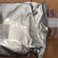 Led Bianco Rettangolare 2 Led