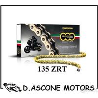 Catena ducati monster