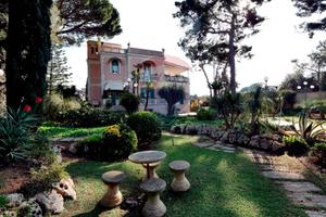 Commerciale Altro - Bari