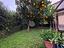 Immagine 22