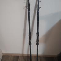 coppia canne Daiwa 