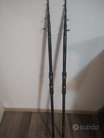 coppia canne Daiwa 