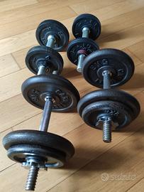 Due coppie manubri palestra pesi.
