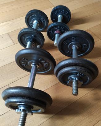 Due coppie manubri palestra pesi.