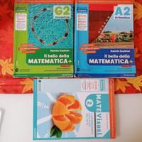 Il bello della matematica 2, ISBN 9788869100963