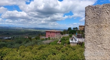 Terreno edificabile,in parte agricolo con annesso
