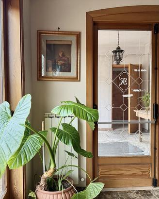 Ristorante Trivigliano [Cod. rif 3288087ACG]