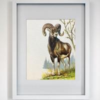 Dipinti anni 70 originali di G.Pozzi su cartoncino