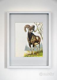 Dipinti anni 70 originali di G.Pozzi su cartoncino