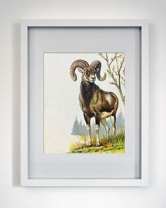 Dipinti d’arte di G.Pozzi su cartoncino
