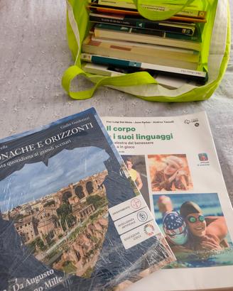 Cronache e orizzonti libro di storia