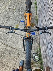 mtb FatBoy SPECIALIZED