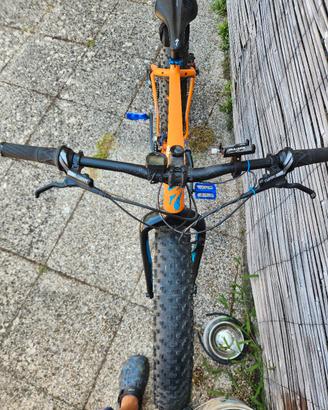 mtb FatBoy SPECIALIZED
