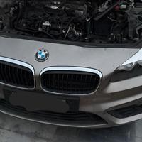 BMW serie 2 218 d portiera portellone Ricambi bmw