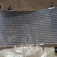 Radiatore acqua Ducati Monster