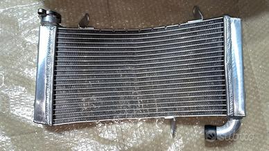 Radiatore acqua Ducati Monster