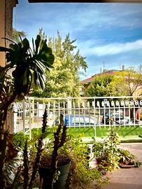 Delizioso appartamento con terrazzo via due ponti