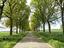 Immagine 12