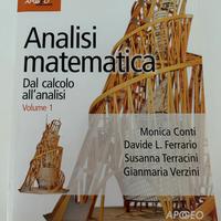 Analisi matematica, dal calcolo all’analisi Vol.1
