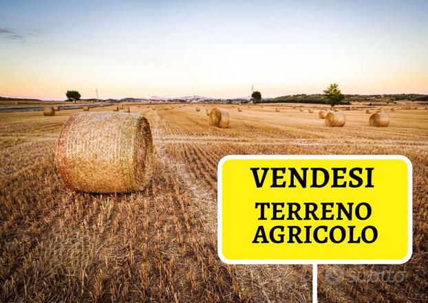 Salzano, terreno agricolo di oltre 8.000 Mq