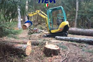 IPL800 Pinza Legna Ramaglia apertura 80cm