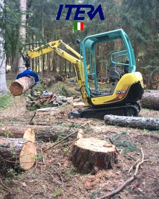 IPL800 Pinza Legna Ramaglia apertura 80cm