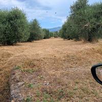 Terreno edificabile tre ponti Capocroce Sonnino