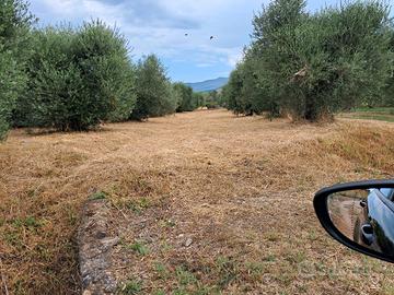 Terreno edificabile tre ponti Capocroce Sonnino