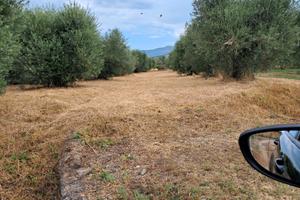 Terreno edificabile tre ponti Capocroce Sonnino