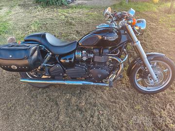 Triumph Speedmaster 800 del  2004 