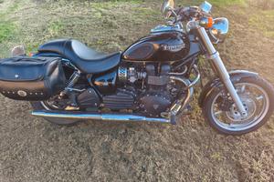 Triumph Speedmaster 800 del  2004 
