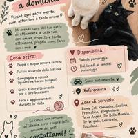 CAT SITTER