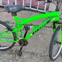 MTB ruote 26