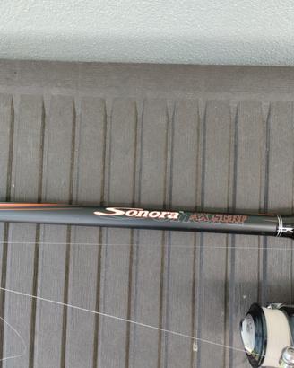 canna surf casting Shimano Sonora 