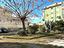 Immagine 8