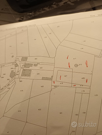Terreno agricolo con trullo
