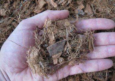 Chips/fibra di cocco