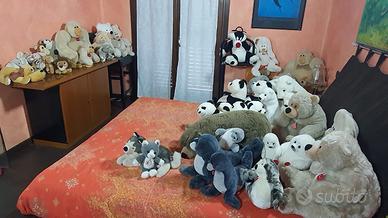 Peluche pupazzi giochi della Trudi oltre 50 pezzi