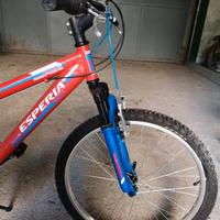 bicicletta mtb ragazzo