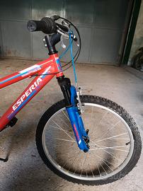 bicicletta mtb ragazzo