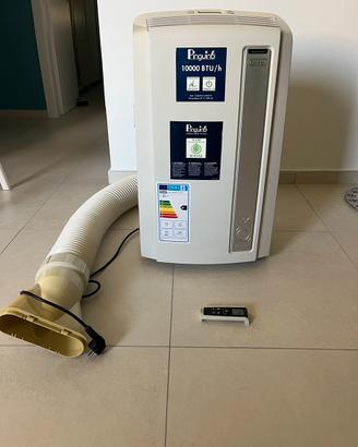 Climatizzatore portatile Pinguino De’longhi