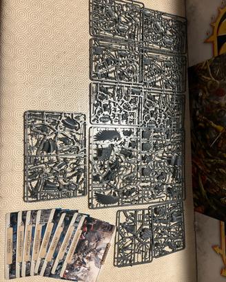 Yndrasta & Stormcast Eternals