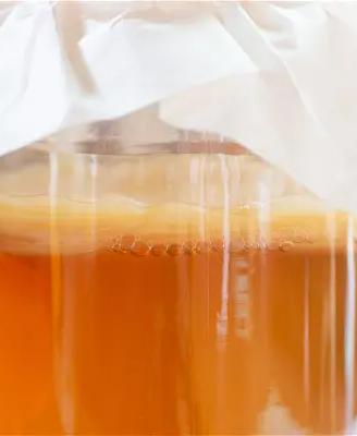 DISCO SCOBY PER KOMBUCHA