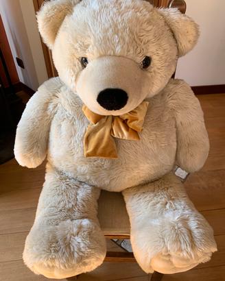 Orso teddy