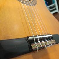 chitarra flamenca hermanos godvinez g705