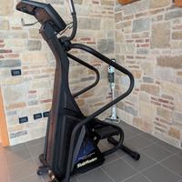 Step  Professionale StairMaster