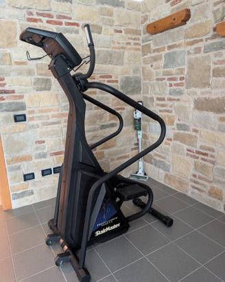 Step  Professionale StairMaster