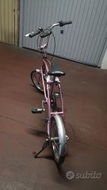 Bicicletta pieghevole Carnielli Big Fish